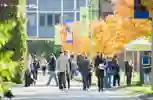 A large group of prospective students wandering campus on a sunny open day