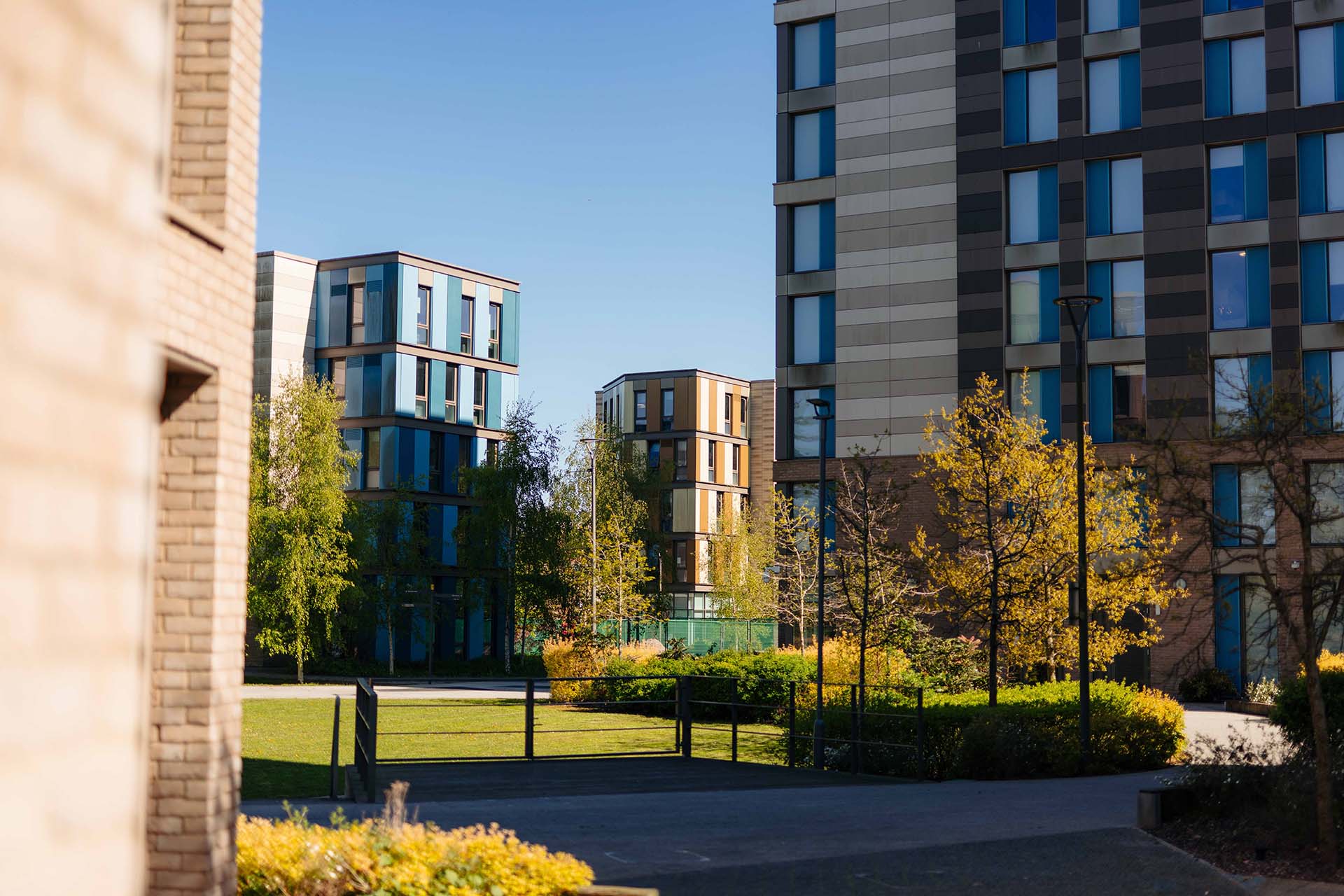 Westfield buildings in the sun