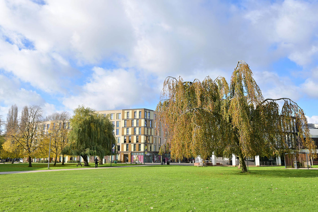 Exterior of the Westfield court accommodation with a willow tree and lawn in the foreground